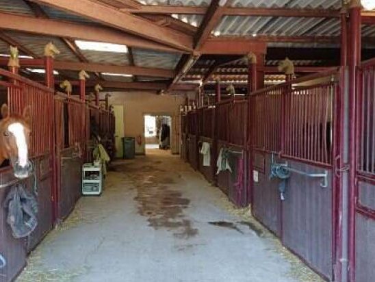 ecuriescoolus-ecuries