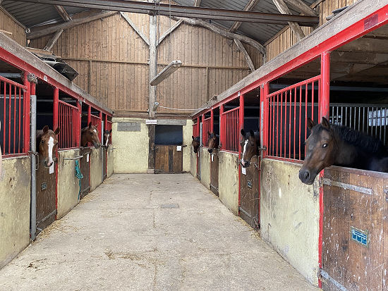 ecuriescoolus-ecurieschevauxclub