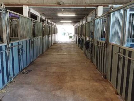 ecuriescoolus-ecuriesclub